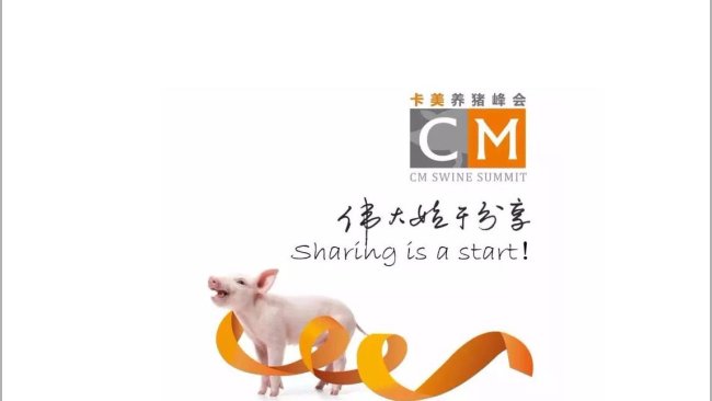 新闻截图1