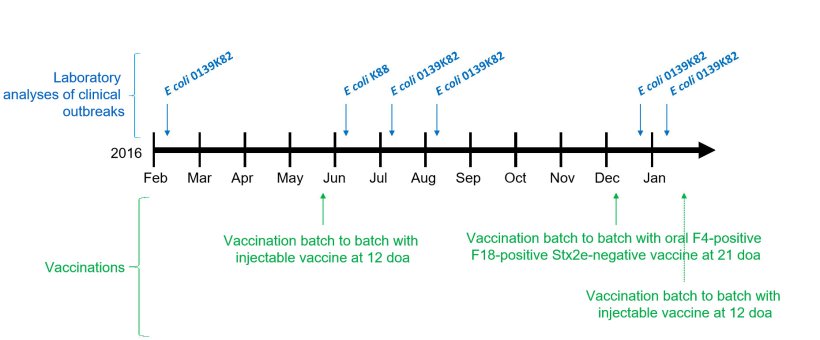 Picture 1: Laboratory analyses of clinical outbreaks and vaccinations calendar