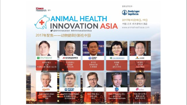 Pig333wechat