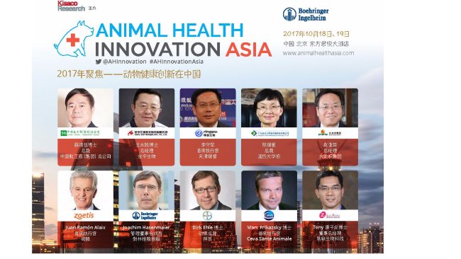 Pig333wechat