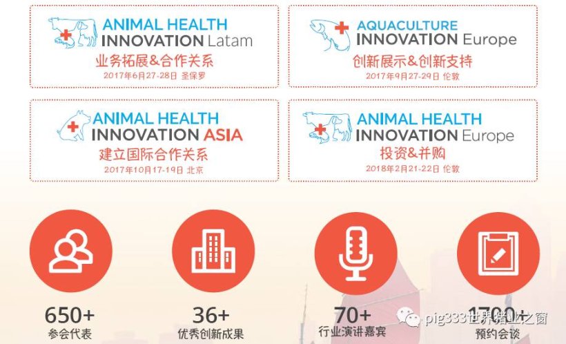 Pig333wechat