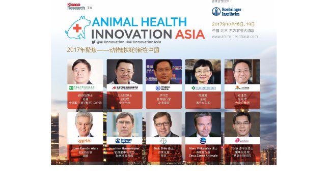 Pig333wechat