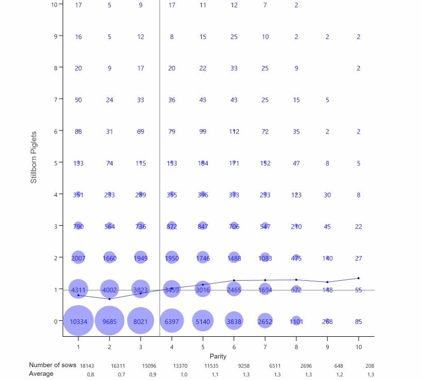 Graph&nbsp;2:&nbsp;Average stillborn per parity. Analysis of&nbsp;93.896 farrowings&nbsp;from hyperprolific sows recorded from&nbsp;October 14 to September 16
