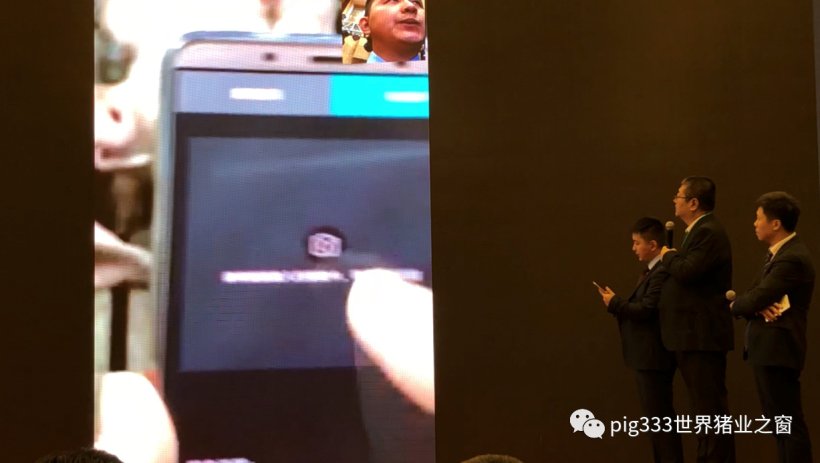 Pig333wechat 9