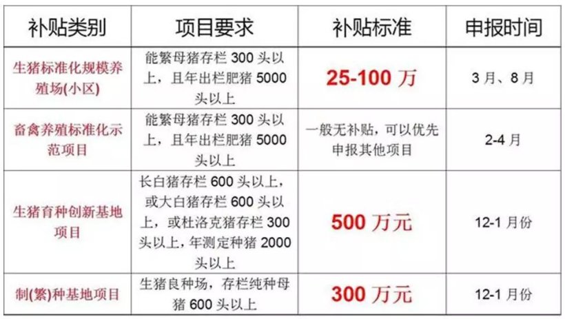 Pig333wechat 2