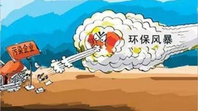 Pig333wechat 1