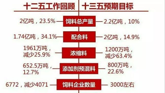 Pig333wechat 2