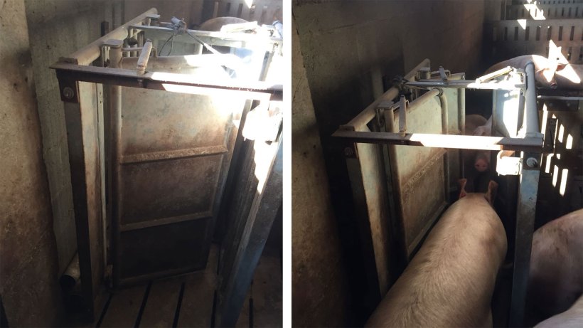 Photo 1. Feeding station exit doors.
