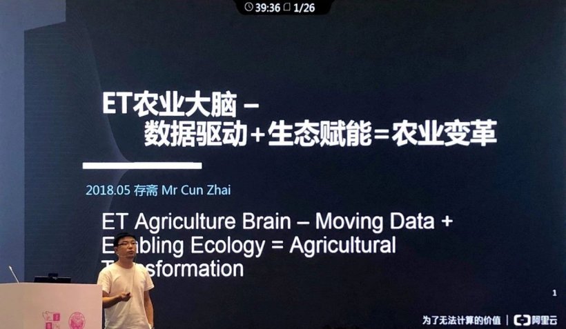 Pig333wechat 1