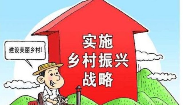 Pig333wechat 4