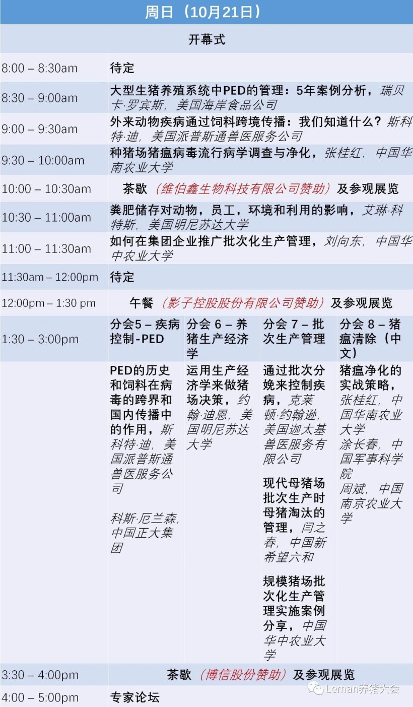 Pig333wechat 3
