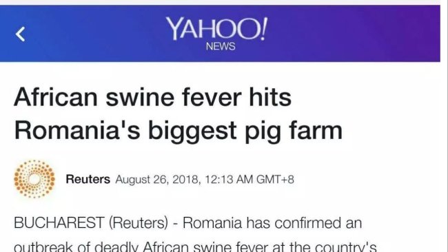Pig333wechat