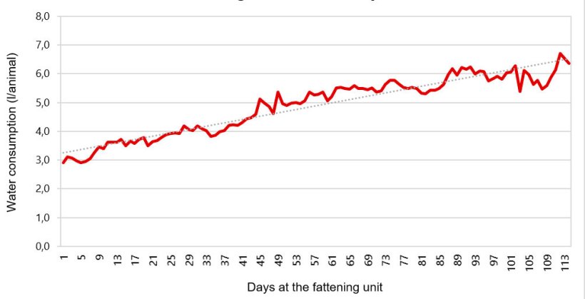 Figure 1. An example of water consumption during fattening.
