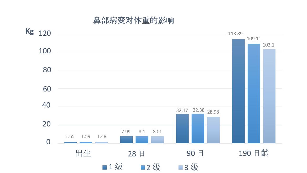 图 1.出生时、28 日龄、90 日龄和 190 日龄时鼻部病变对体重的影响

