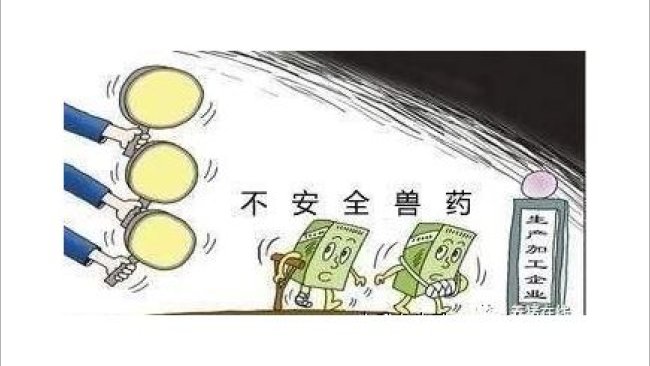 Pig333wechat