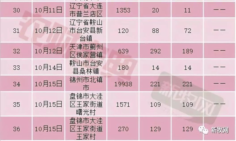 Pig333wechat 4