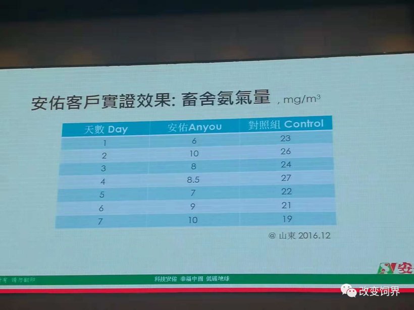 pig333wechat 23