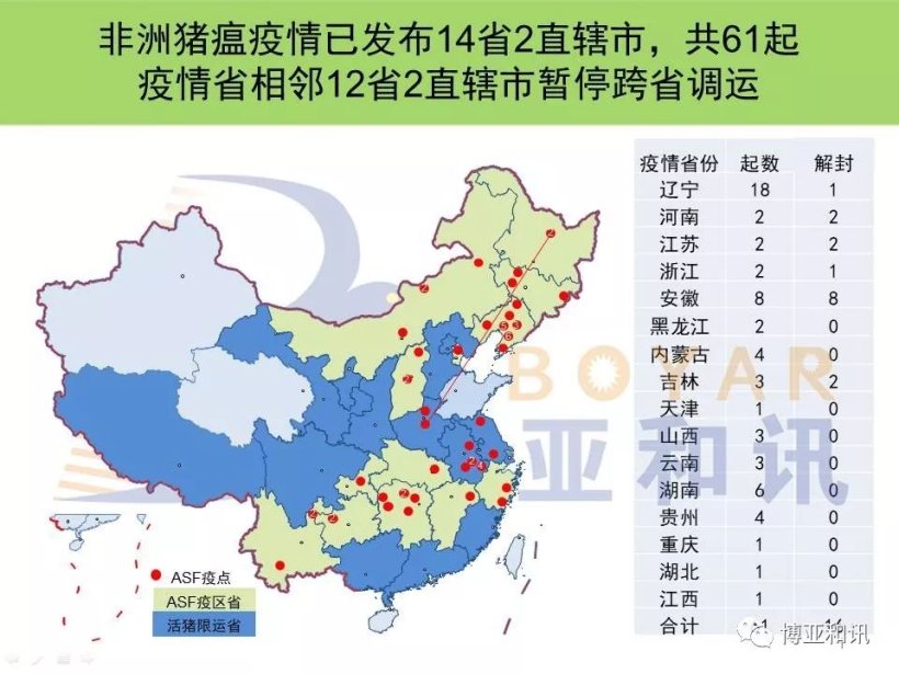 Pig333wechat 11