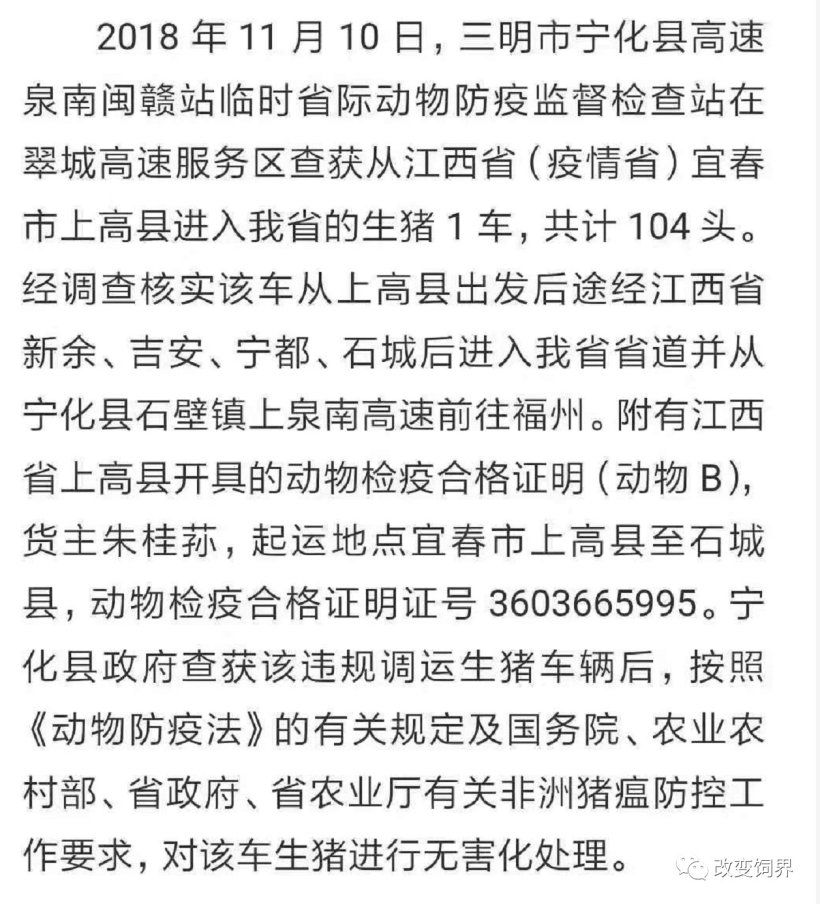 Pig333wechat 13