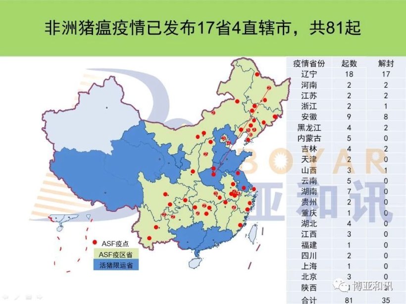 Pig333wechat 1
