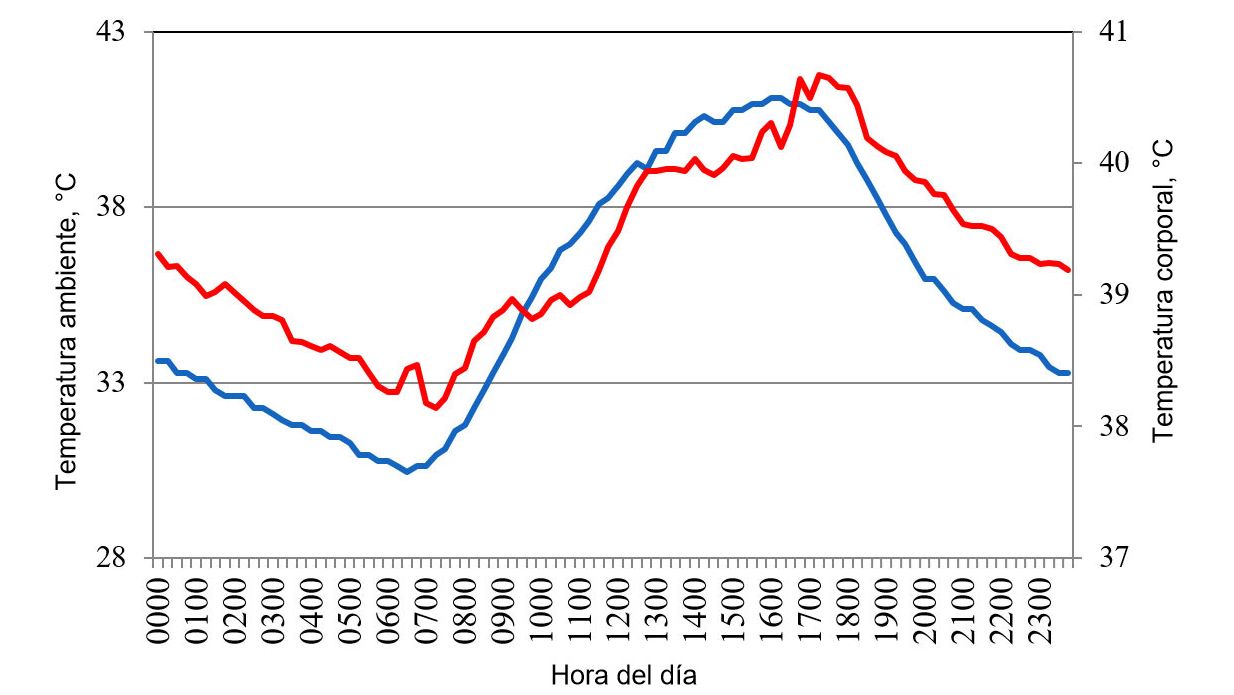 Figure 1. Variations in body temperature (red) of pigs housed under conditions of heat stress, in response to changes in&nbsp; environment temperature (blue) during a typical day in the summer of 2015 in the Mexicali valley (Cervantes et al., 2017 ).
