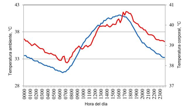 Figure 1. Variations in body temperature (red) of pigs housed under conditions of heat stress, in response to changes in environment temperature (blue) during a typical day in the summer of 2015 in the Mexicali valley (Cervantes et al., 2017 ).