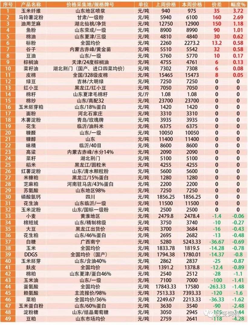 Pig333wechat 2