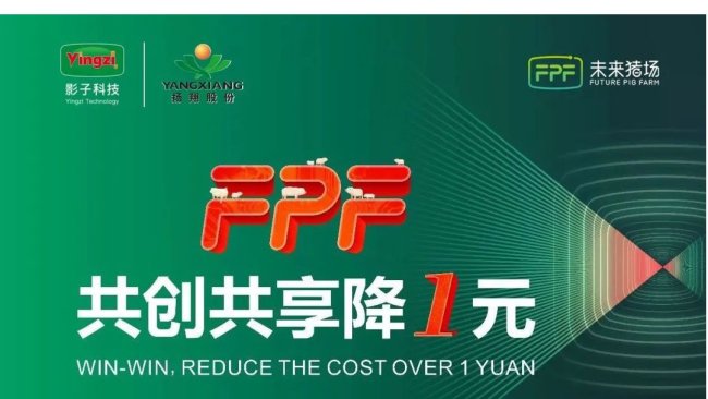 杨翔股份