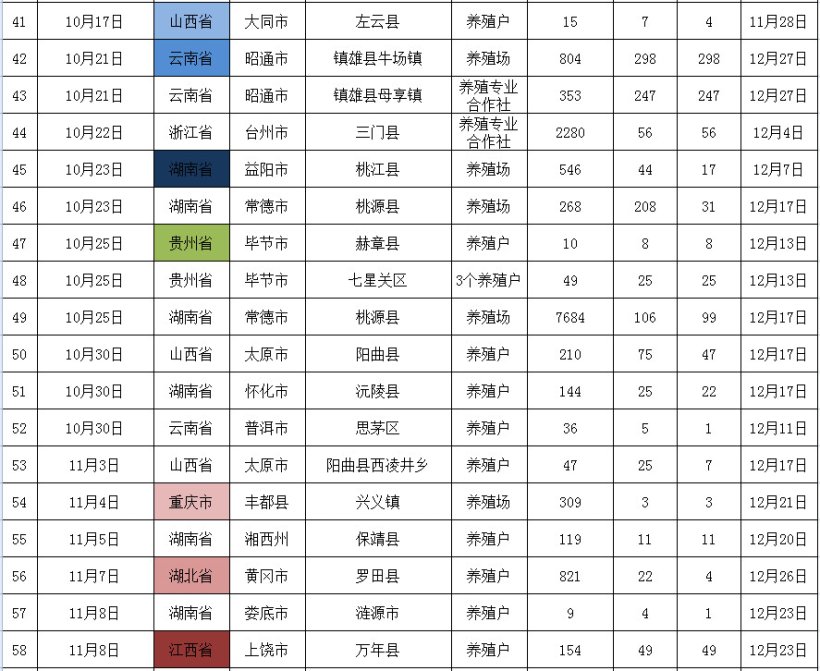 Pig333wechat 1