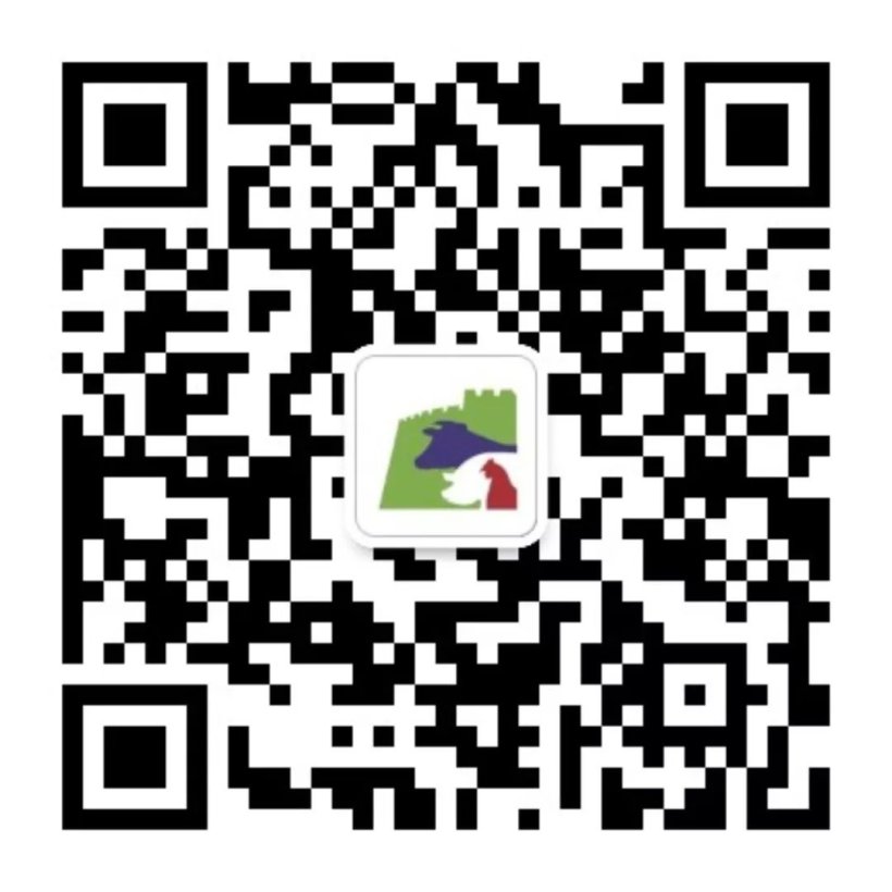 EuroTier China2019 3