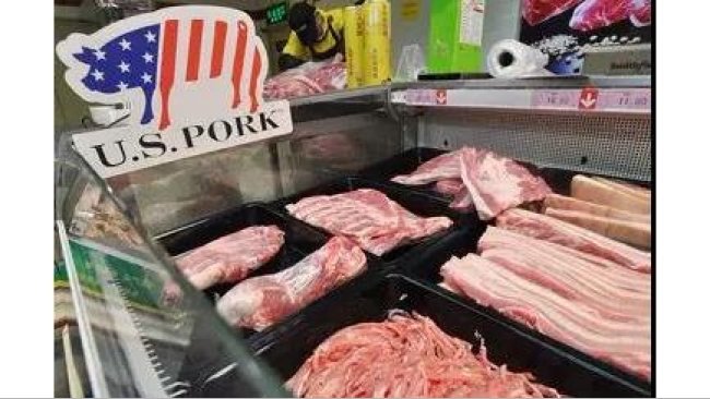 pig333