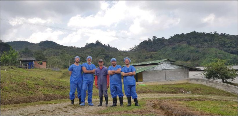 HectorMar&iacute;n（猪场经理），Andr&eacute;s Felipe Vallejo（Porcigenes S.A.的技术人员）Nelson Adrian Restrepo（海波尔拉丁美洲的大客户经理）和Carlos Martins（海波尔技术部门）陪同我们参观了猪场。