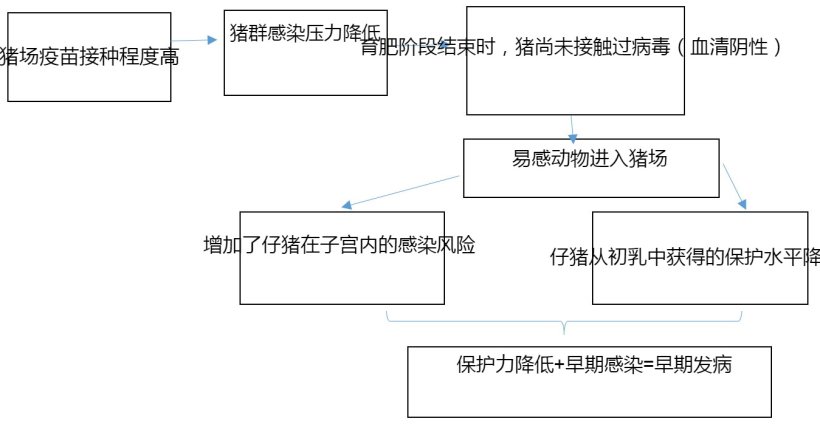 图1：常规疫苗接种情况下PCV2感染流行病学的发展

