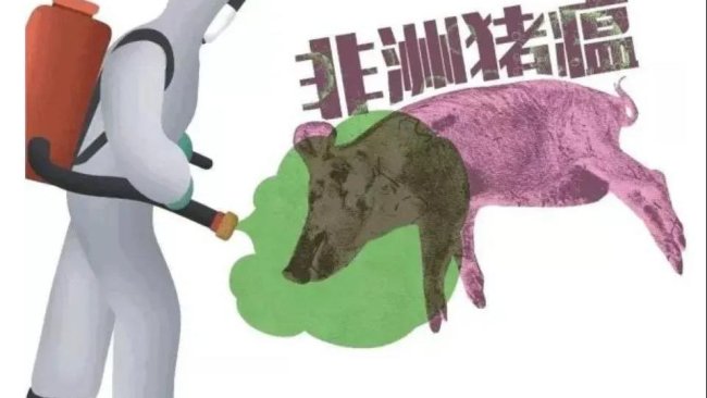 333 1