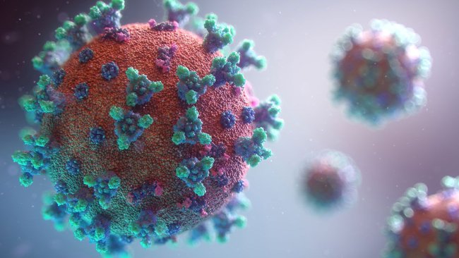 Fusion Medical Animation在Unsplash上发布的照片