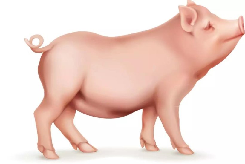 333 7