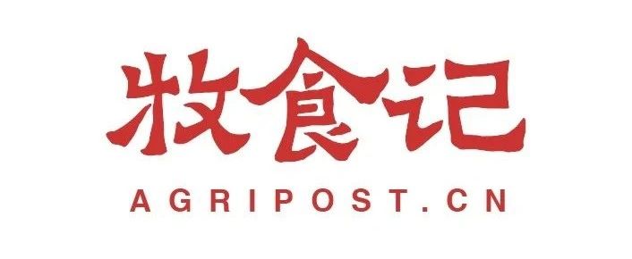333 3