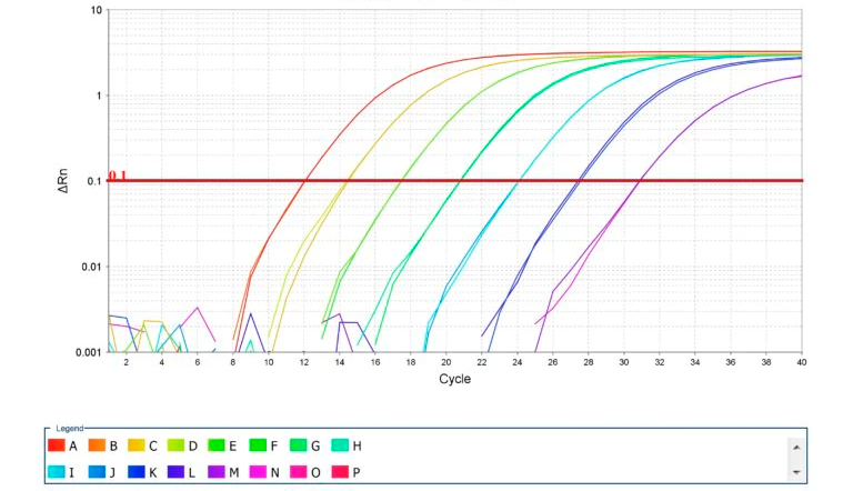 图2. qPCR标准曲线的扩增。资料来源：Thermo Fisher科技有限公司。
