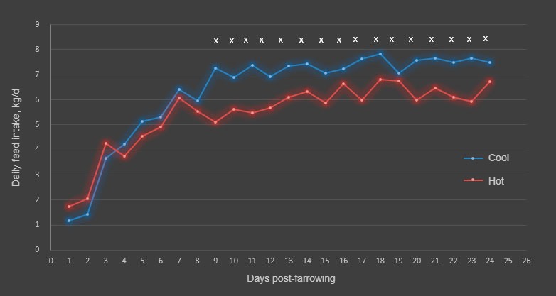 图1。炎热和寒冷季节每日采食量。第9~18天和20~24天采食量季节性差异(×;P