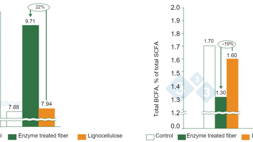 Figure 1. Control = no fiber, Enzyme treated fiber = soluble NSP, Lignocellulose = insoluble NSP. (A) Butyric acid production increases by 22% in piglet (15 kg) when fermenting soluble fibers. (B) Protein fermentation reduced by 19% in piglet (15 kg) when fermenting soluble fibers. SCFA = short chain fatty acids, BCFA = branched chain fatty acids.
