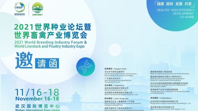 333 1