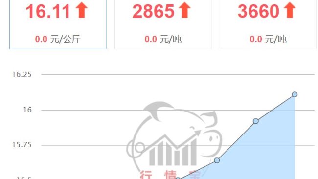333 1