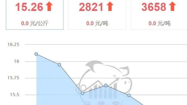 333 1