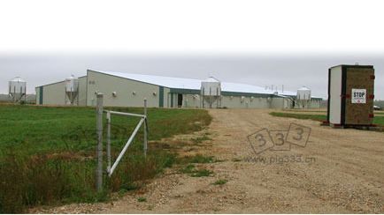 multiplier pig farm