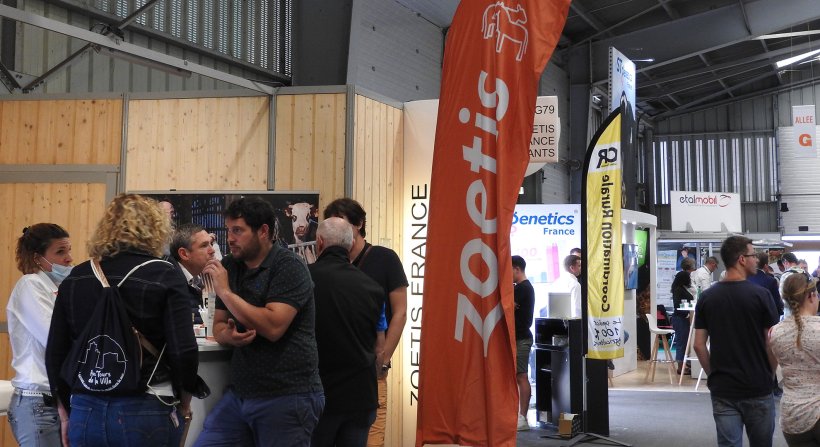 66
