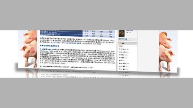 猪的营养