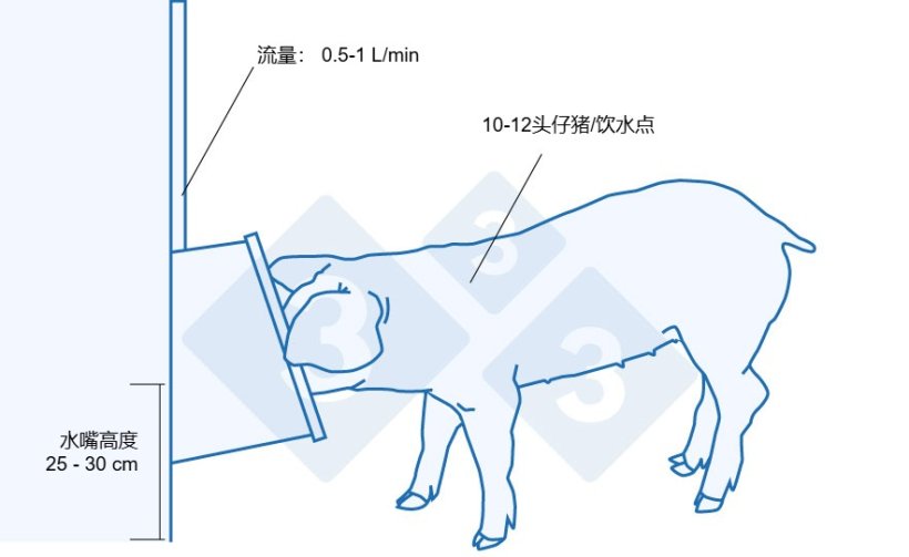 对于刚断奶的仔猪推荐使用的饮水器
