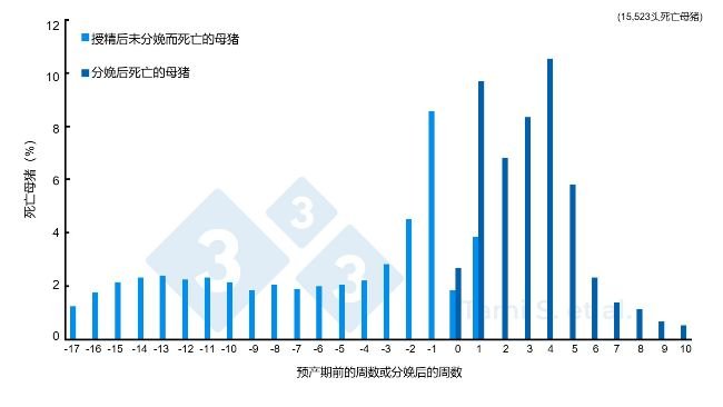 图 1. 分娩前后死亡母猪数量的相对比例(%),来自共计7778头授精母猪和7745头分娩母猪。 信息来源: Tami S. et al. 2017.