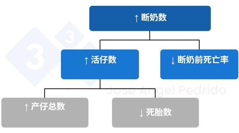 图 1.&nbsp;增加断奶仔猪数量的决策树。

