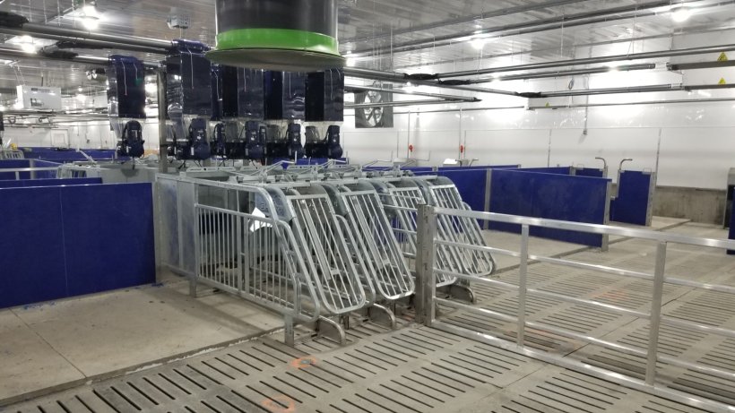 图片1.&nbsp;配备4条料线且每个饲喂器带有多个料斗的妊娠期精准电子饲喂站
